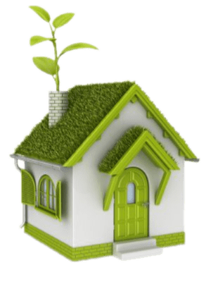 املاک و مستغلات شش دانگ در اسالم 