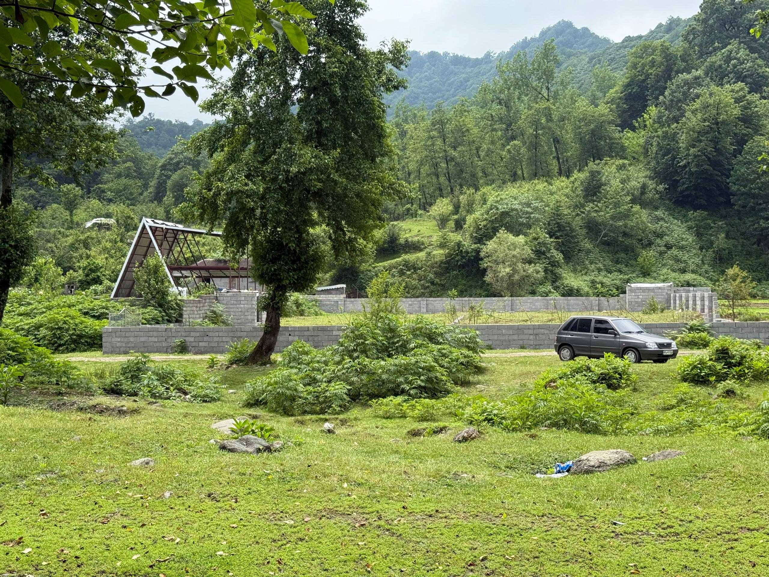 زمین جنگلی کنار رودخانه اسالم روستای کله سرا زمین جنگلی کنار رودخانه اسالم روستای کله سرا